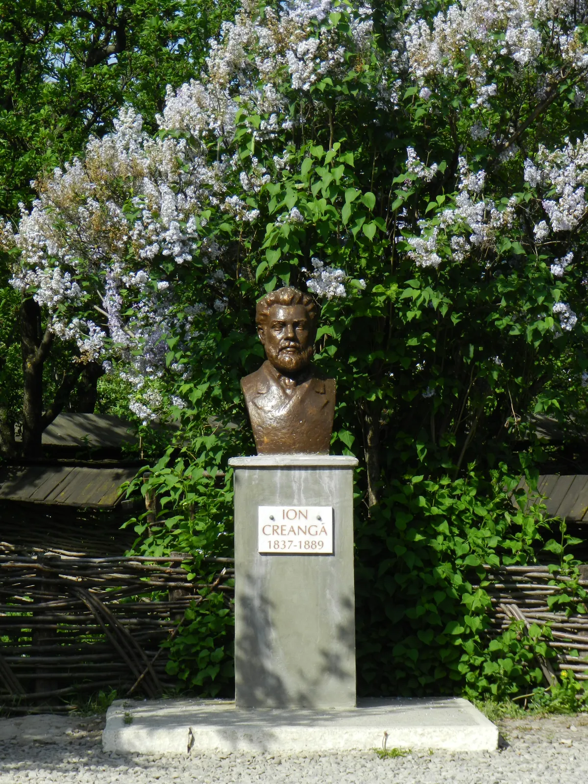 Muzeul Memorial Ion Creanga Humulesti bust