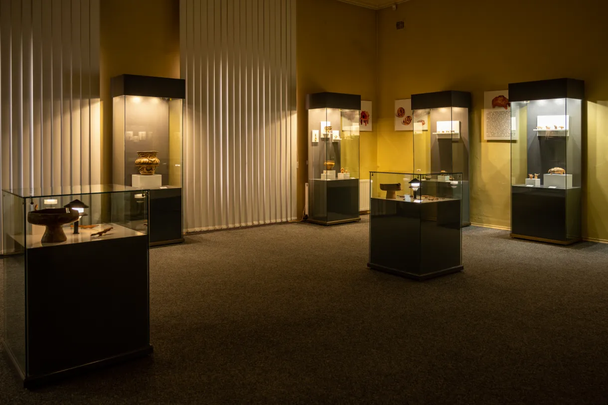 Muzeul de Arta Eneolitica Cucuteni interior4