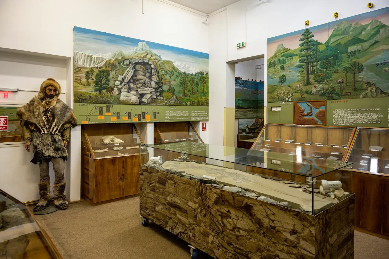Muzeul de Stiinte Naturale Piatra Neamt interior4