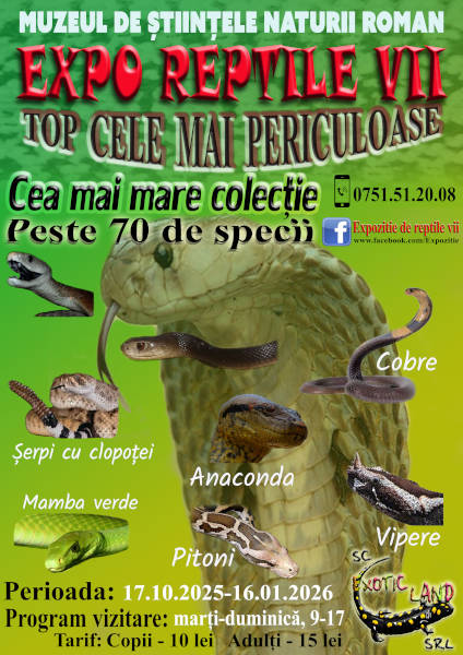 Muzeu Expozitii temporare