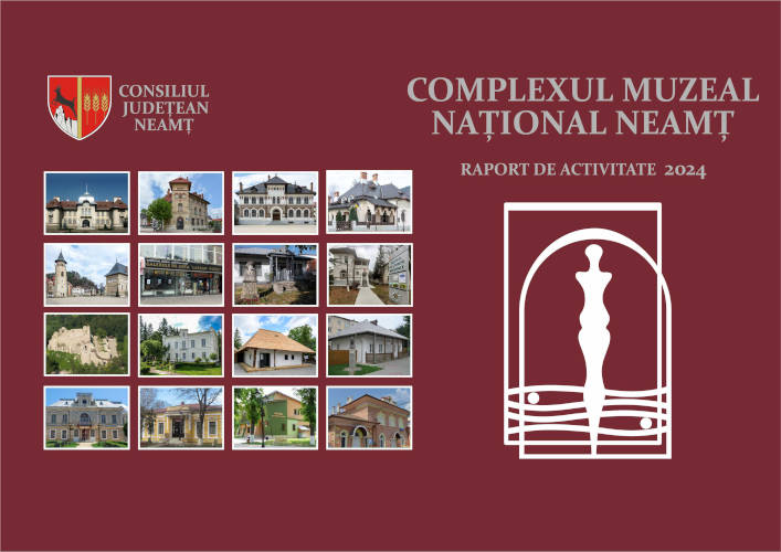 Raport de activitate 2024